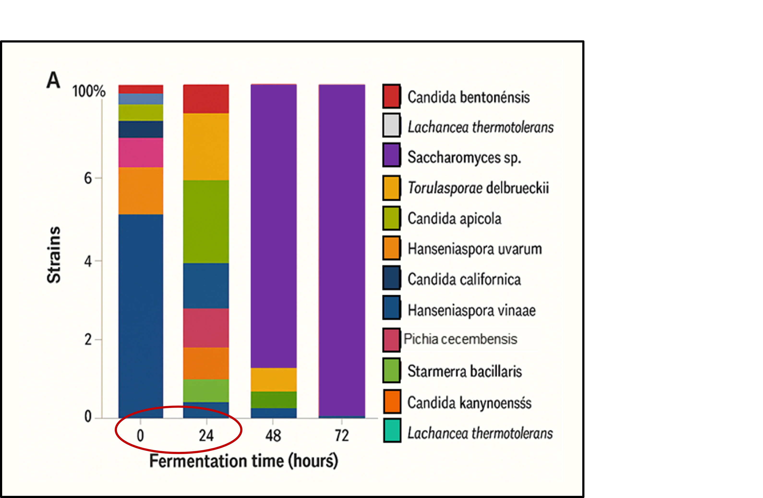 Non-Saccharomyces Timeline 1